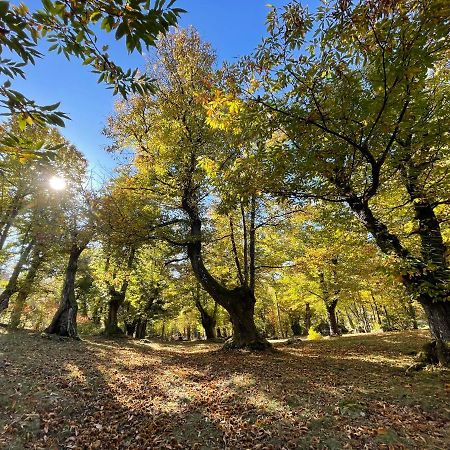 “All'Antica Dogana” Bosco  Zewnętrze zdjęcie