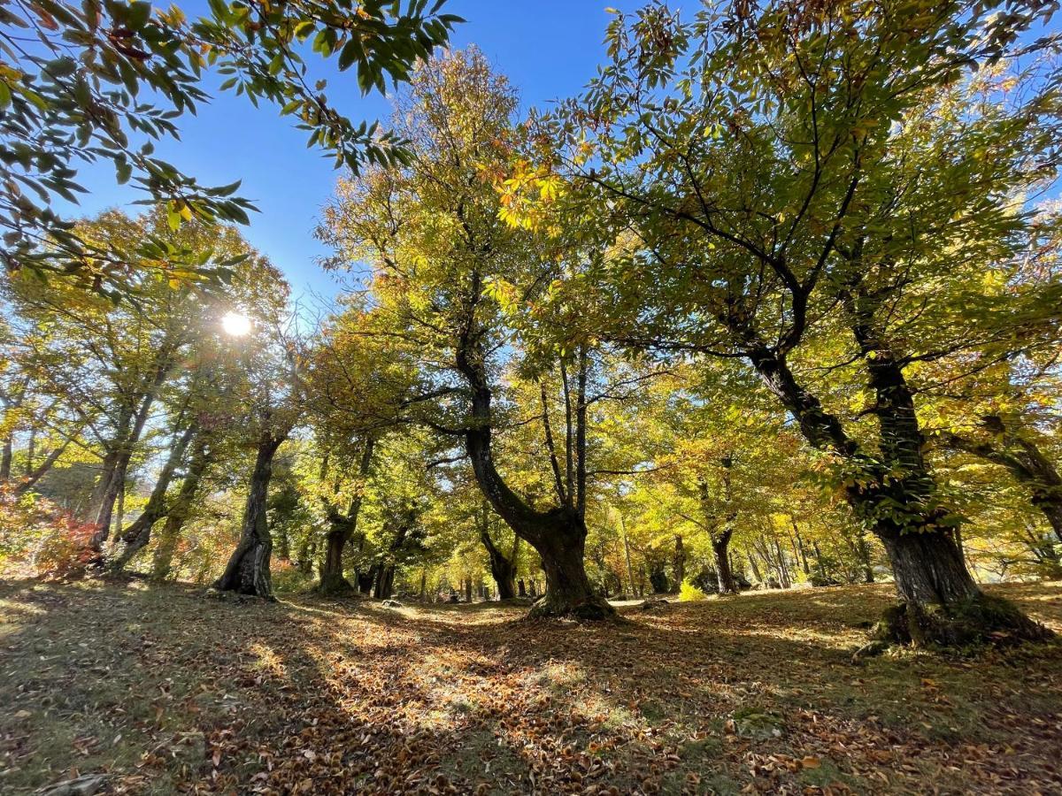 “All'Antica Dogana” Bosco  Zewnętrze zdjęcie